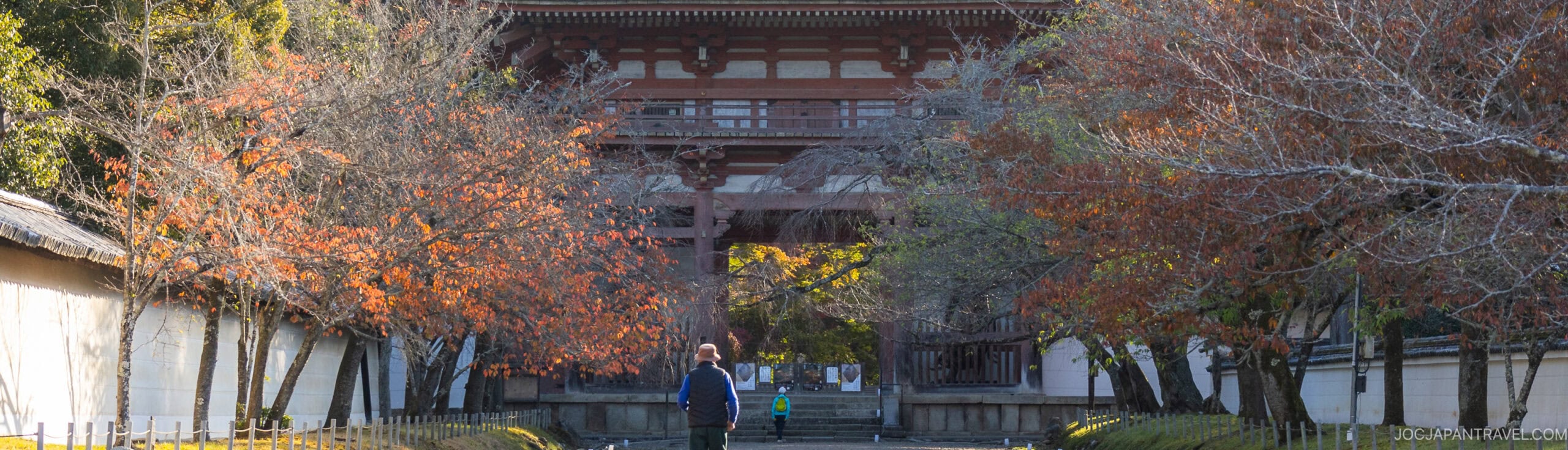 A person stands on a tree-lined path with autumn foliage, facing a large traditional Japanese wooden gate at the entrance to a temple.