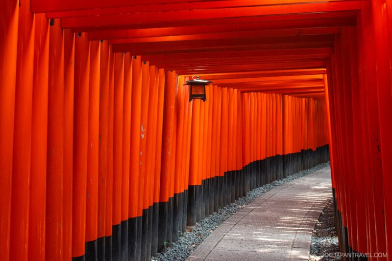 A winding stone path weaves through vibrant orange torii gates at Fushimi Inari, Kyoto, Japan, with sunlight casting shadows and a traditional lantern glowing above.
