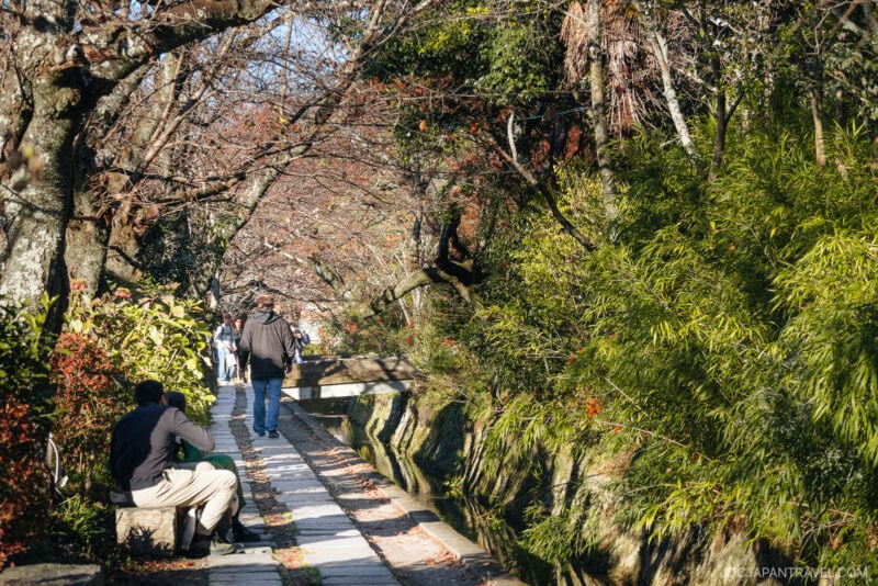 A stone path lined with trees and greenery, reminiscent of the Philosopher’s Path, has people strolling and one person on the left taking a photo. Sunlight filters through the branches, casting dappled shadows along this tranquil walkway.