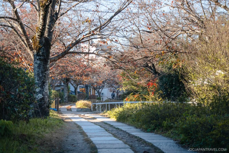 A stone path winds through a peaceful garden lined with trees shedding autumn leaves, sunlight filtering through the branches—reminiscent of Kyoto’s Philosopher’s Path—with a small white bridge visible ahead.
