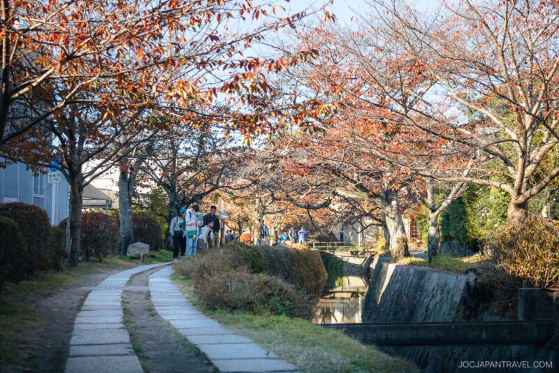 A stone path lined with autumn trees, known as the Philosopher’s Path, runs beside a narrow canal. A few people walk in the distance under the blue sky, while fallen leaves add color to this peaceful scene.