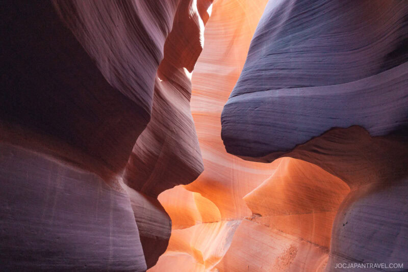 Sunlight streams through the smooth, swirling orange and purple sandstone walls of Lower Antelope Canyon, highlighting the layered textures and curves of this stunning slot canyon.