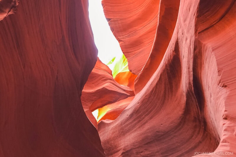 Sunlight illuminates the smooth, flowing red and orange sandstone walls of Lower Antelope Canyon, creating striking patterns and shadows. The sky is visible through an opening above.