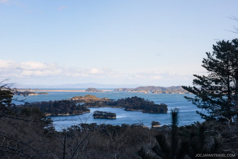 View of several small, tree-covered islands in a blue bay—an iconic Matsushima scene—seen from an elevated vantage point with pine trees in the foreground and distant mountains under a clear sky.