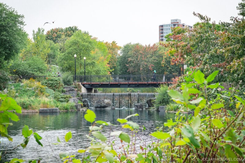 A small waterfall flows under a black pedestrian bridge in a lush Montreal city park, surrounded by green trees and plants, with a tall building visible in the background.