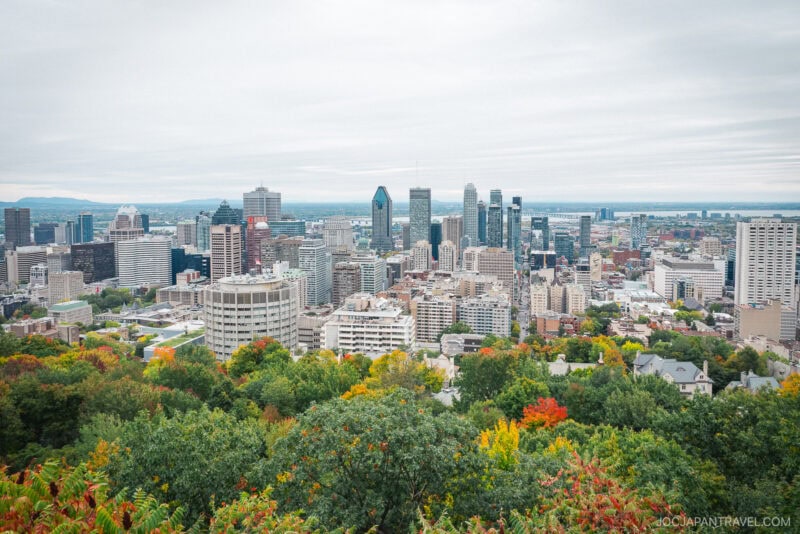 A panoramic view of Montreal’s city skyline with tall buildings and skyscrapers, bordered by trees with green and autumn-colored leaves under a cloudy sky.