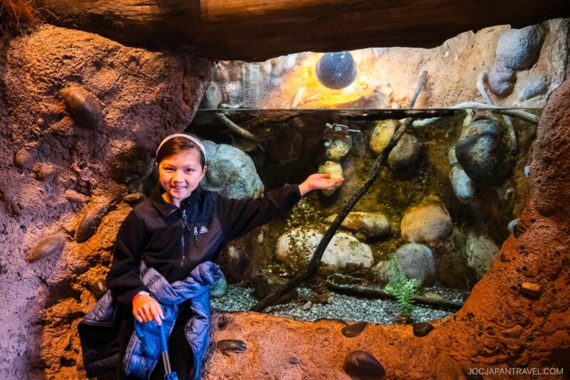 A smiling child in a dark jacket poses at a Redding indoor exhibit, holding out one hand toward a glass enclosure with rocks, water, and a small turtle under a warm overhead light.