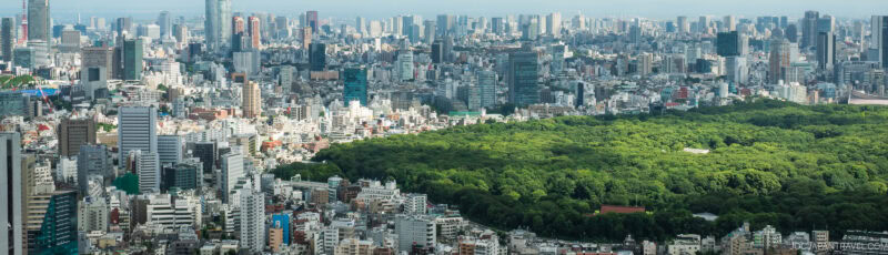 A panoramic view of a large city with dense high-rise buildings surrounding a vast green park or forested area in the center, under a clear blue sky.