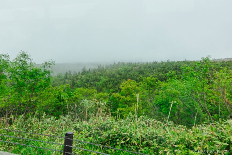 Dense green foliage and shrubs cover the landscape under a cloudy sky, with thick mist partially obscuring the distant view along the scenic Tateyama Kurobe Alpine Route. A metal fence runs along the foreground.