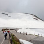 Tateyama Kurobe Alpine Route (立山黒部アルペンルート): Japan’s Epic Mountain Crossing Tourists walk along a paved road on the Tateyama Kurobe Alpine Route, surrounded by thick snow on mountain slopes under a cloudy sky. People in jackets capture photos and enjoy the stunning snowy landscape.