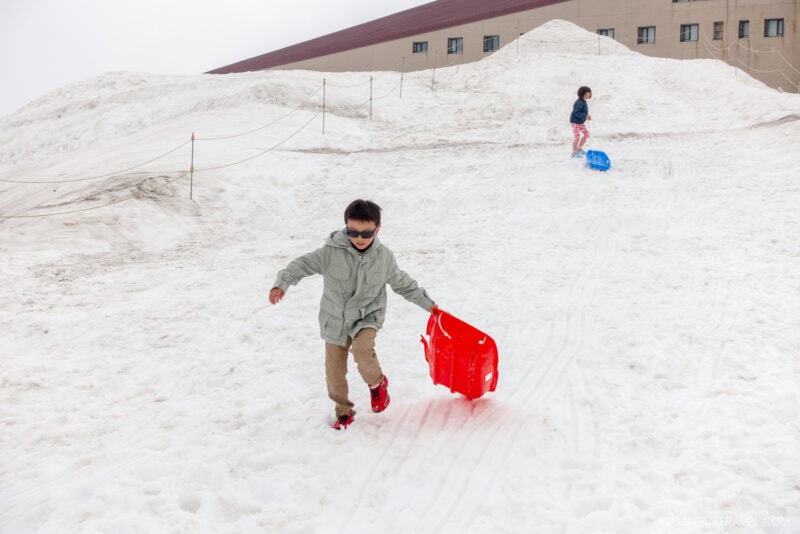 A child wearing sunglasses and a green jacket pulls a red sled up a snowy hill along the Tateyama Kurobe Alpine Route, while another child in the background walks uphill with a blue sled. A building and snow piles are visible behind them.