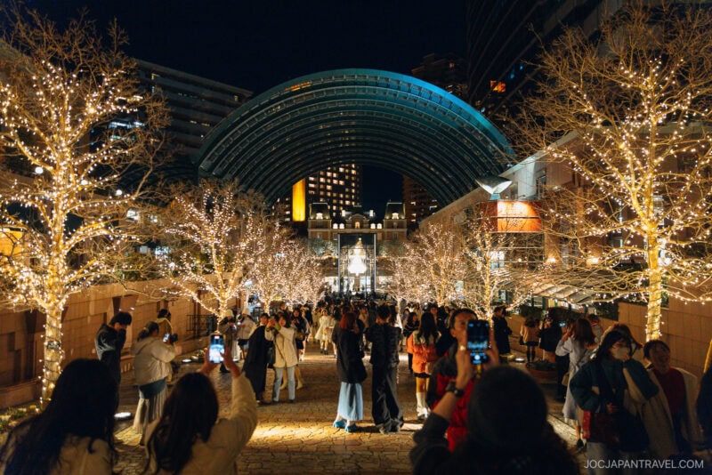 A crowd gathers at night under a large, curved glass canopy, surrounded by trees decorated with warm white string lights. Many people are taking photos, capturing the festive atmosphere popular at Tokyo Illumination Spots.