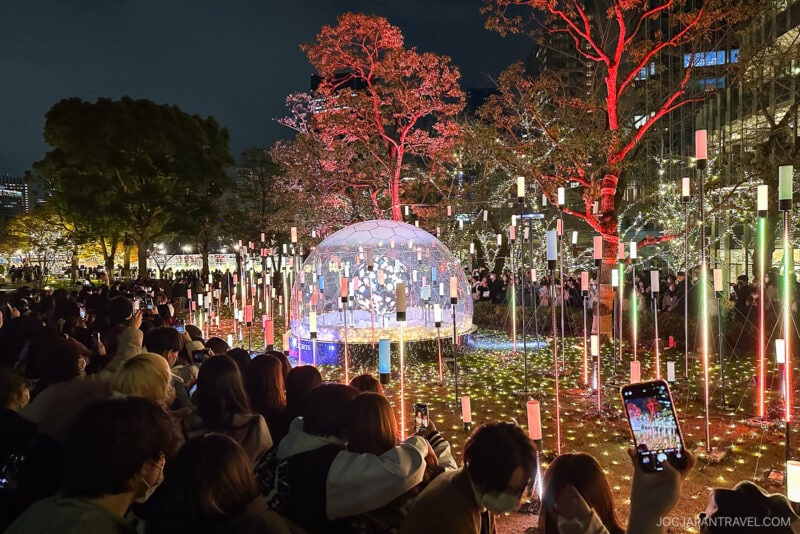A crowd gathers at night to view a glowing light installation at one of the Tokyo Illumination Spots, featuring an illuminated dome and colorful lights on trees and in the grass, while someone in the foreground snaps a photo with a smartphone.