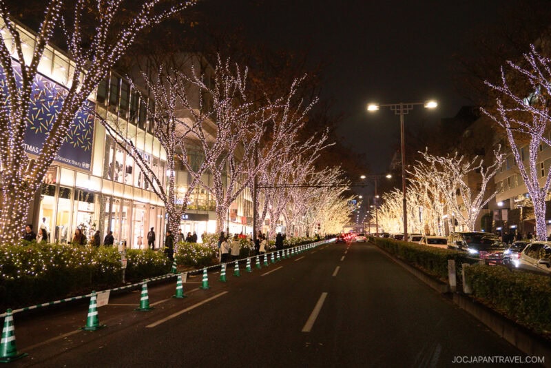 A city street at night, one of Tokyo Illumination Spots, lined with trees covered in white holiday lights. People walk on the sidewalks as shops glow warmly on the left and cars drive down the road under the illuminated trees.
