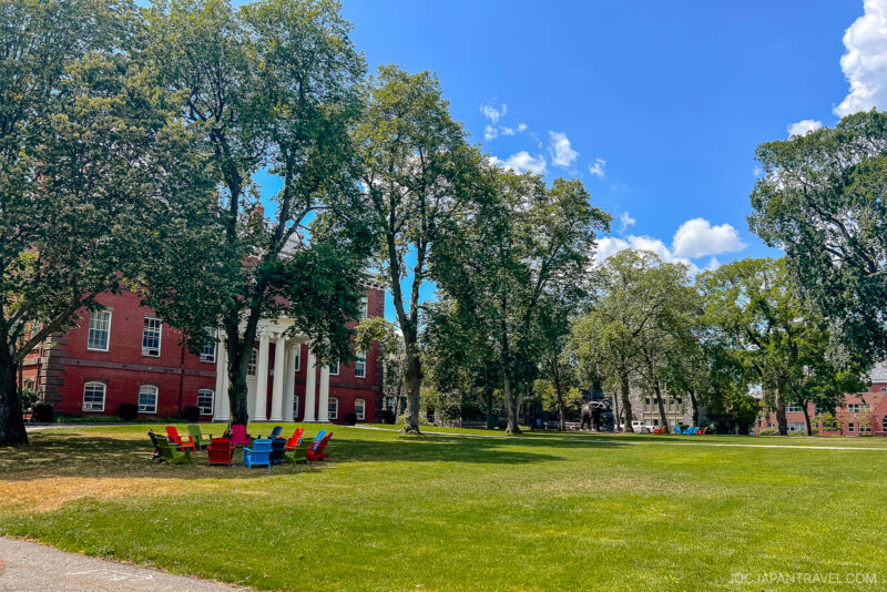 A grassy campus lawn with colorful Adirondack chairs in a circle under large trees, in front of a red brick building with white columns—an inviting scene perfect for your Northeast College Tour on a sunny day with blue sky and clouds.