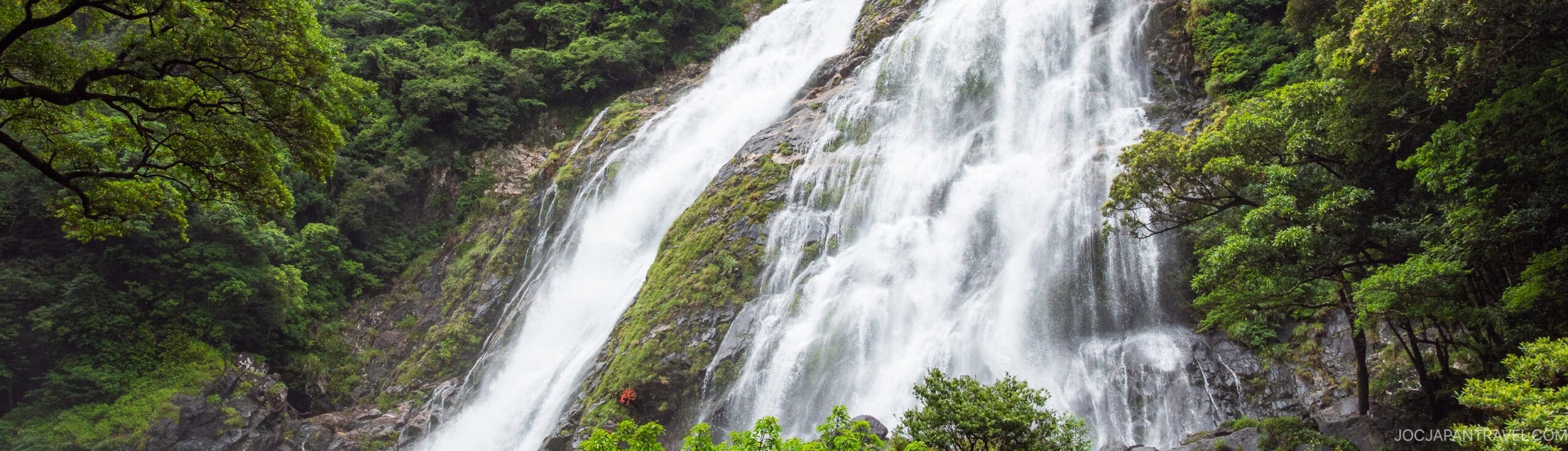 A wide waterfall cascades down a rocky cliff surrounded by lush green trees and vegetation, creating a misty, vibrant natural scene.