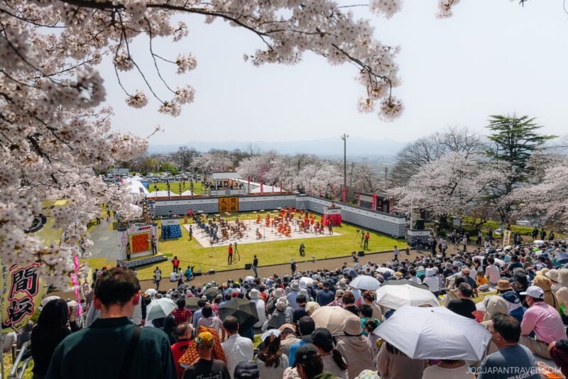 Crowds watch an outdoor chess match with human players dressed in costumes, surrounded by yamagata cherry blossom trees in full bloom on a sunny day. Some people use umbrellas for shade.
