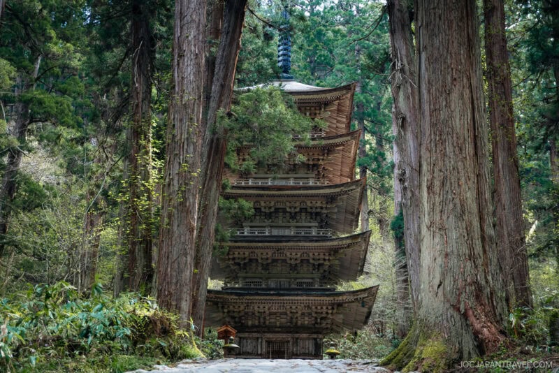 A five-story wooden pagoda stands among tall cedar trees in Yamagata's lush forest, with a stone path leading to its entrance.