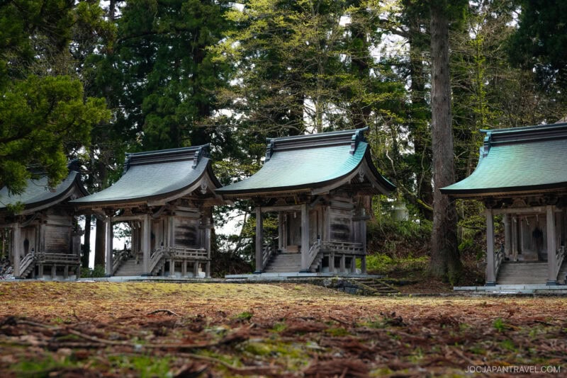 Three small traditional Japanese wooden shrines with curved roofs stand in a row among tall trees in a Yamagata forest, sunlight gently filtering through the leaves.