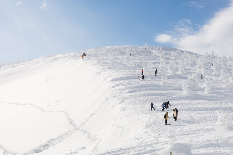 People hike up a snow-covered hill dotted with snow-laden trees under a bright blue sky, leaving footprints in the fresh snow—an experience straight from a Zao winter guide.