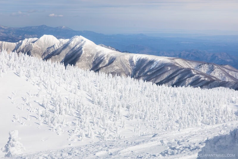Snow-covered mountains and densely packed trees blanketed in white create a winter landscape under a clear sky, with distant blue mountain ranges on the horizon—a scene straight from any Zao winter guide.