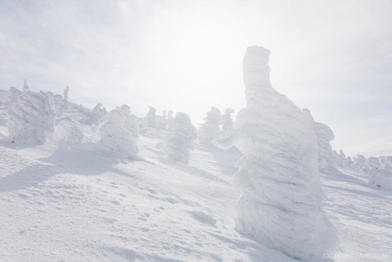 Snow-covered trees, heavily coated in ice, stand on a bright sunlit slope under a cloudy sky. This surreal winter landscape could be straight from a zao winter guide, its white serenity echoing a truly otherworldly experience.