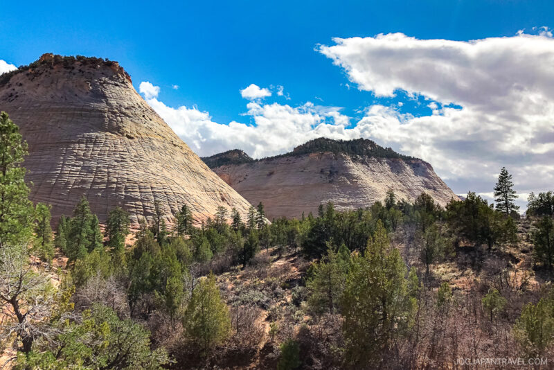 Rounded sandstone mountains rise above a forested landscape under a partly cloudy blue sky in Zion National Park, with sunlight illuminating the textured rock formations and scattered green trees.