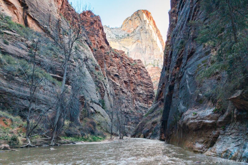 A river flows between steep, rocky canyon walls with sparse trees. The sun illuminates the upper cliffs, highlighting the rugged landscape and natural beauty of Zion National Park’s impressive gorge.