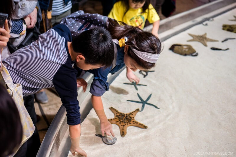 Children lean over a touch tank at Churaumi Aquarium, gently reaching out to touch starfish and other sea creatures in shallow water at the marine exhibit.