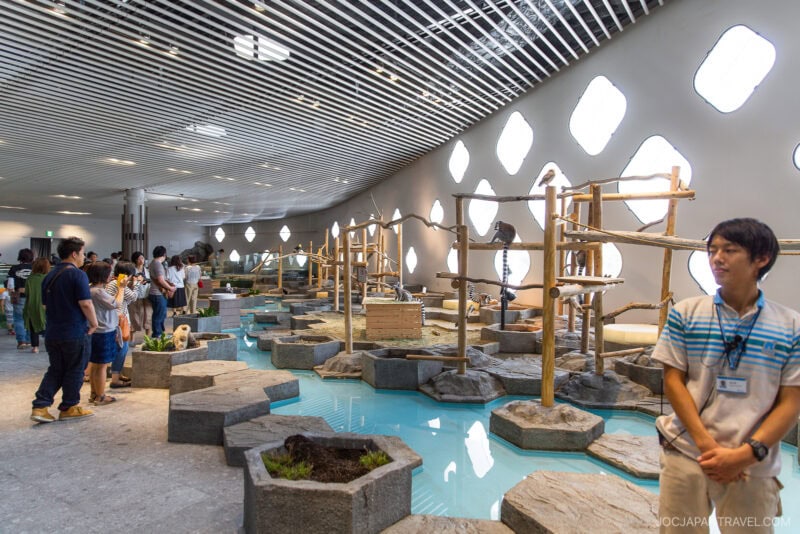 People observe an indoor otter enclosure with water, rocks, and wooden climbing structures at Osaka Expocity. A staff member stands nearby as natural light enters through geometric windows in the ceiling and wall.