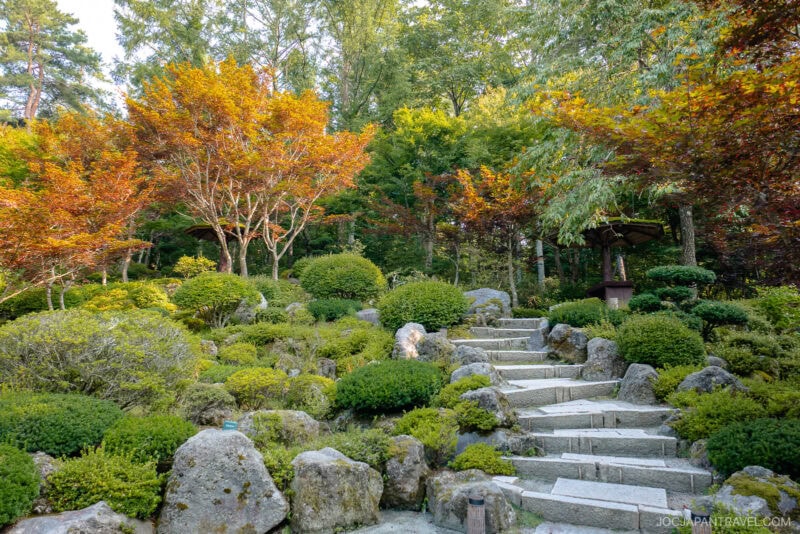 A stone staircase winds through a lush Japanese garden at Hotel Kaneyamaen Yamanashi, with neatly trimmed bushes, rocks, and trees with green and red foliage, all surrounded by tall trees in the background.