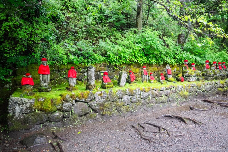 A row of small stone statues wearing red hats and bibs stands on a moss-covered stone wall amid lush green foliage in the Nikko Kanmangafuchi Abyss forest setting.