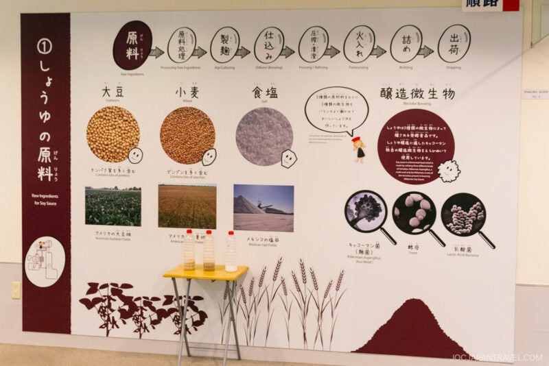 Informational display about soy sauce ingredients at the Kikkoman Factory Tour, showing labeled images of soybeans, wheat, salt, and fermentation microorganisms. Photos, diagrams, and bilingual text line the wall above three bottles on a small table.