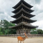Kofukuji (興福寺) – Nara’s Iconic Five-Storied Pagoda A deer stands on a gravel path at Nara Kofukuji, in front of a historic five-story wooden pagoda, surrounded by trees and people in the background under a cloudy sky.
