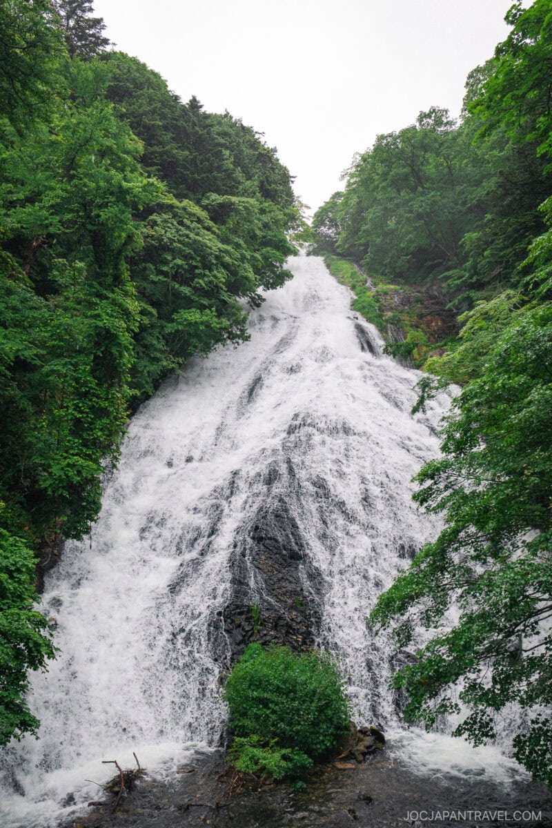 A tall, powerful waterfall cascades down a rocky slope surrounded by lush, green trees near Lake Chuzenji, with dense forest vegetation thriving under an overcast sky.