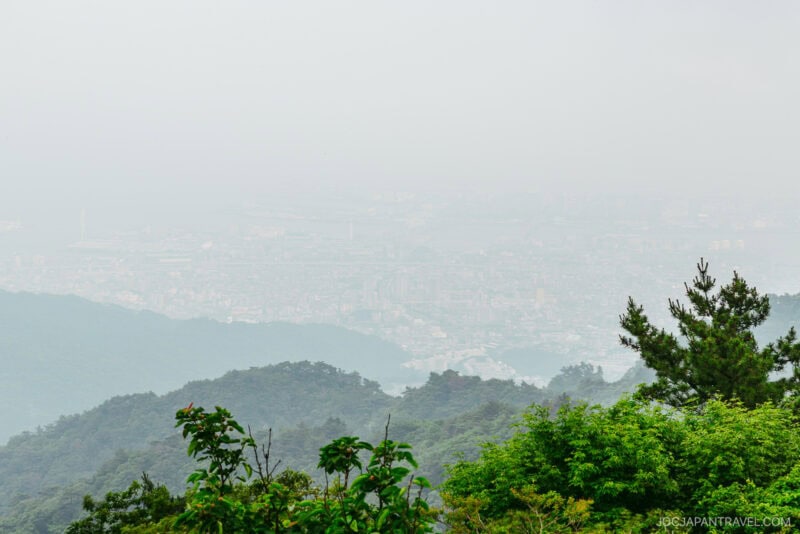 A hazy cityscape view from lush, green Mount Rokko, with dense fog partially obscuring the buildings below and trees in the foreground.