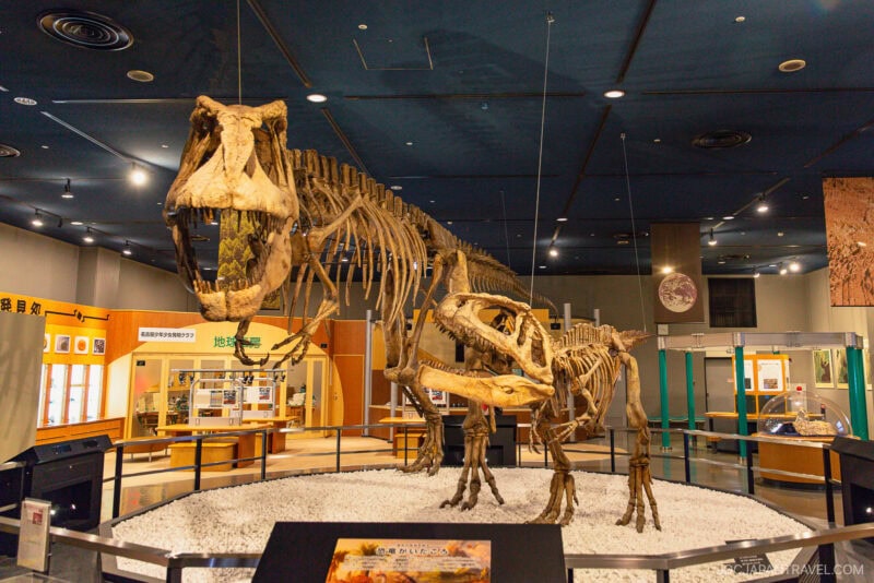 A large Tyrannosaurus rex skeleton is displayed in the Nagoya City Science Museum exhibit, surrounded by informational panels and other displays, under bright lights and a dark ceiling.