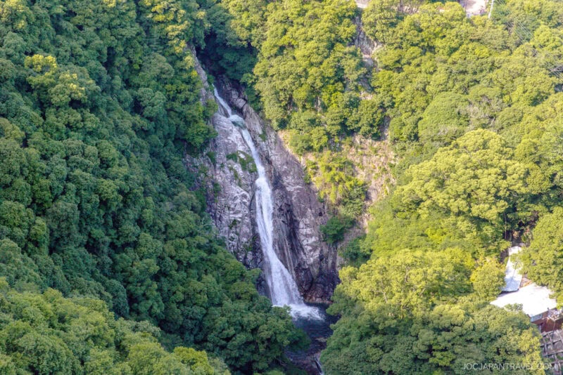 A tall, narrow waterfall cascades down a rocky cliff surrounded by dense, lush green forest seen from above, near the Nunobiki Ropeway and Herb Gardens. Sunlight filters through the trees, highlighting the vibrant greenery.