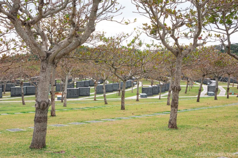 Rows of leafless trees stand on a grassy lawn with many stone monuments arranged in neat lines, creating a solemn and peaceful atmosphere at Okinawa Prefectural Peace Memorial Park.