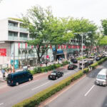 Exploring Omotesando (表参道) A busy Omotesando city street with cars, taxis, and vans driving past modern buildings and shops. Pedestrians stroll along the tree-lined sidewalks, and red sale banners hang from storefronts.