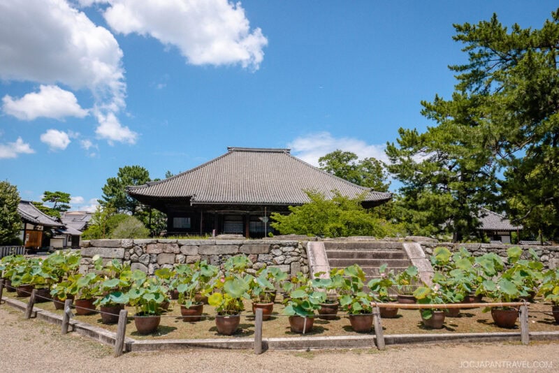 Traditional Japanese wooden building with a tiled roof at Nara Saidai-ji, surrounded by green trees and a stone wall. In front, potted lotus plants are neatly arranged under a bright blue sky with scattered clouds.