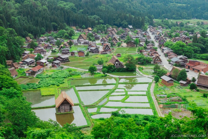 A panoramic view of Shirakawa-go village in Japan, showcasing its traditional gassho-zukuri thatched-roof houses nestled among lush green rice paddies and dense, forested hills.