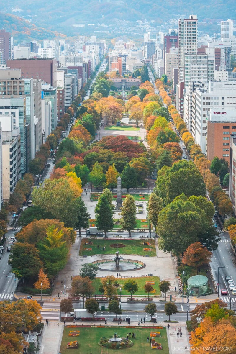 Aerial view of a city park in Sapporo adorned with vibrant autumn foliage, surrounded by tall buildings, with mountains in the background and a long straight avenue running through the center.