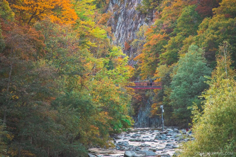 A narrow, rocky river flows beneath a metal bridge surrounded by dense Sapporo autumn foliage in vibrant shades of green, yellow, and orange, set against a rugged cliff.