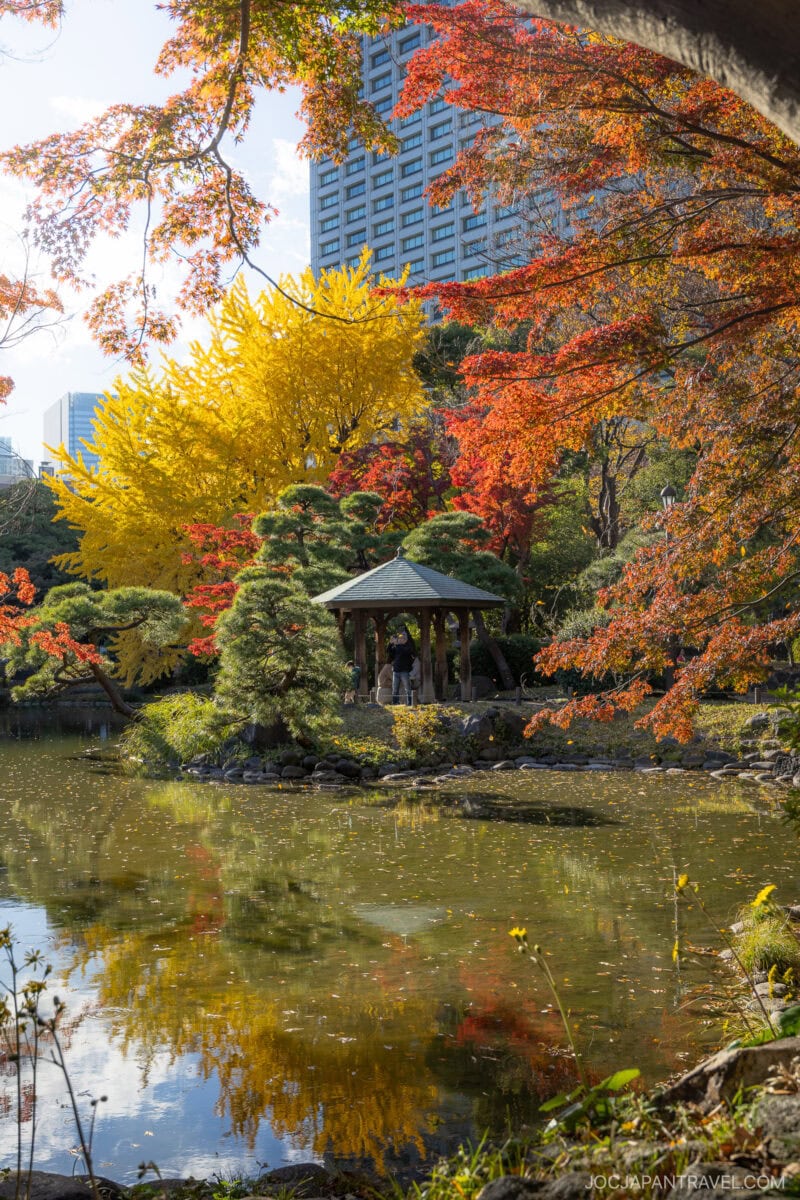 A serene Japanese garden in autumn, with vibrant Tokyo autumn leaves—red, yellow, and green—surrounding a small gazebo by a pond. A tall city building rises in the background, its reflection mingling with the colorful foliage on the still water.