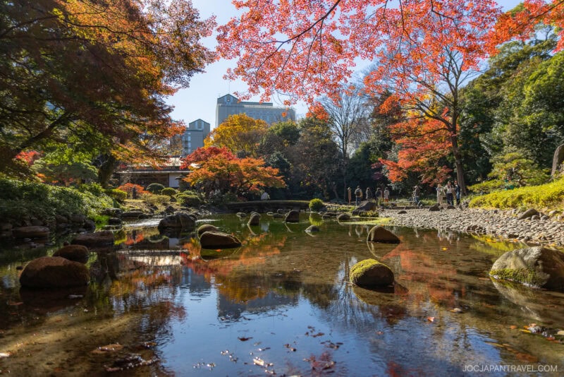 Where To See Autumn Leaves In Tokyo Parks And Gardens • JOC Japan Travel