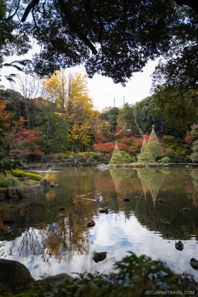 Where To See Autumn Leaves In Tokyo Parks And Gardens • JOC Japan Travel