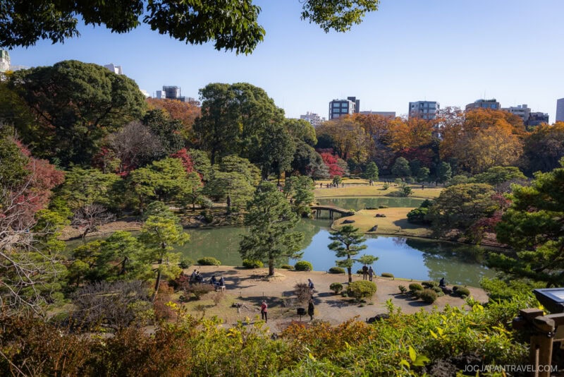 A lush Japanese garden in Tokyo displays autumn leaves around a pond, small bridge, and winding paths. People stroll beneath green and red foliage under a clear blue sky, with city buildings visible in the background.