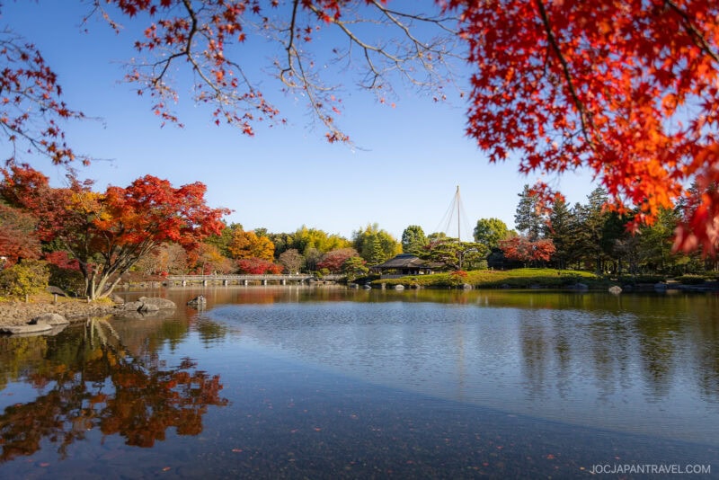 A serene Japanese garden in Tokyo with a pond reflecting vibrant red and orange autumn leaves, clear blue sky, and a traditional structure in the distance, surrounded by trees showcasing stunning Tokyo autumn leaves.