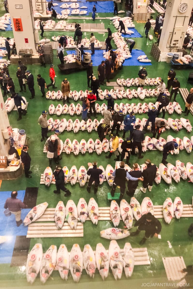 A busy Tokyo fish market at Toyosu Market, with rows of large, frozen tuna laid out as auctioneers and buyers inspect and bid during a seafood auction, surrounded by workers and observers in an indoor setting with green floors and white columns.